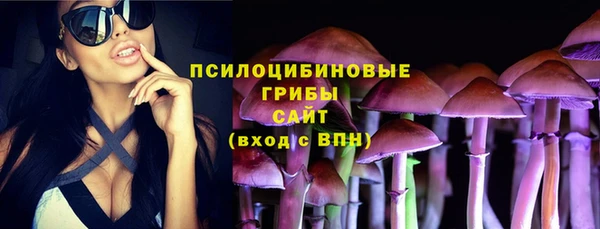 сатива Новодвинск