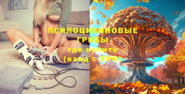ECSTASY Новокубанск