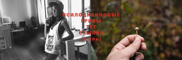 эйфоретик Абинск