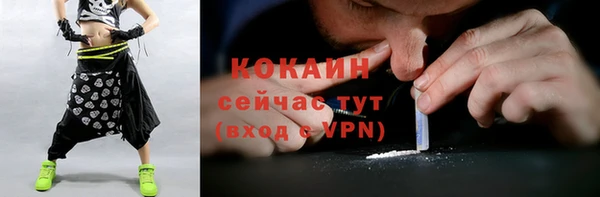 spice Абаза