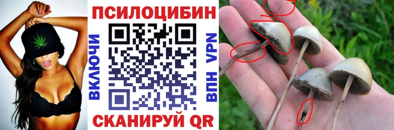 цены наркотик  Балахна  MEGA сайт  Псилоцибиновые грибы MAGIC MUSHROOMS 